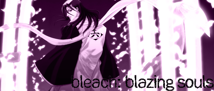 Bleach: Blazing Souls RPF