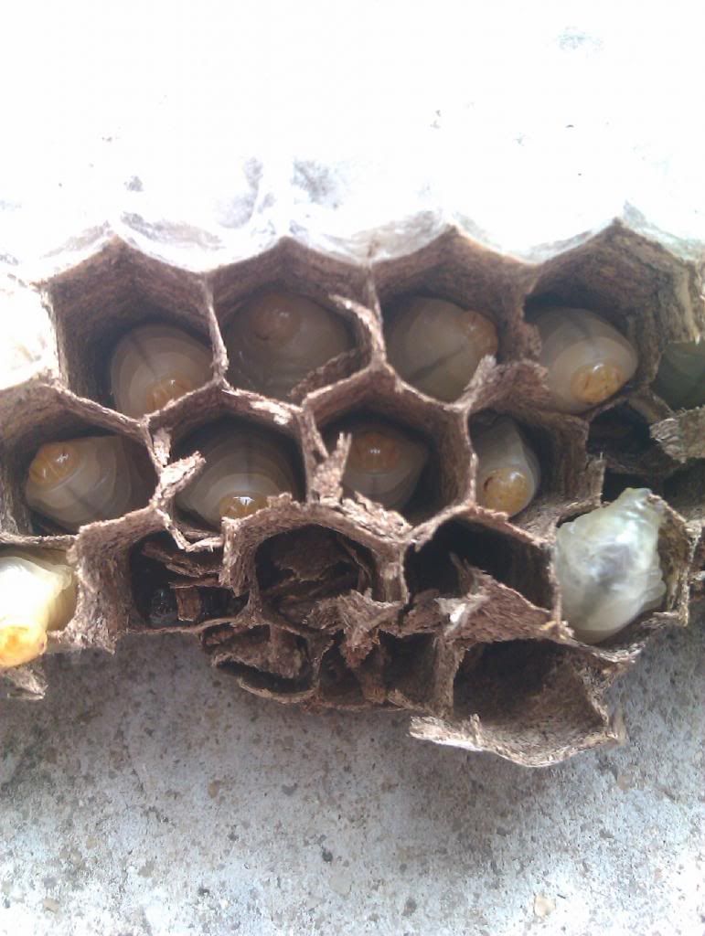 [ Rủ Rê ] Thứ 7 này đi câu cá tại Thanh Đa... - 1