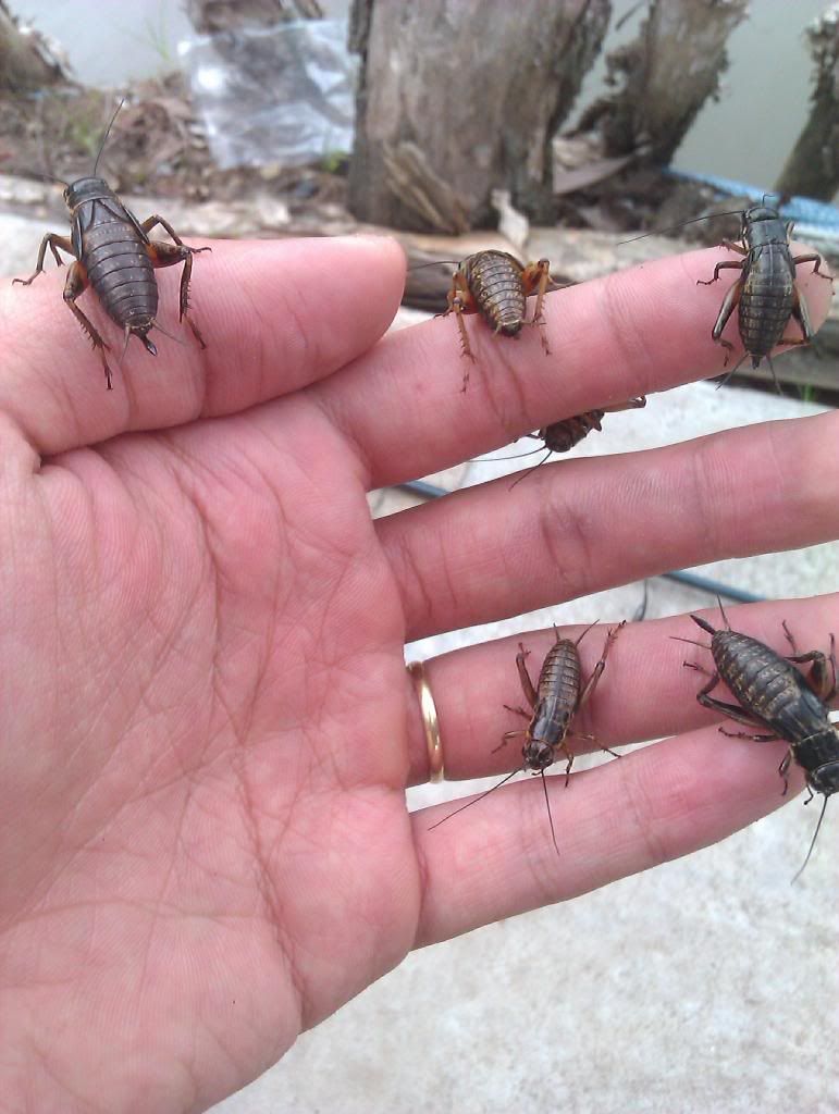 [ Rủ Rê ] Thứ 7 này đi câu cá tại Thanh Đa... - 2