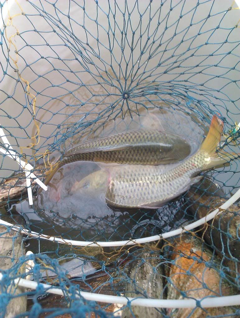 Thứ 7 và Chủ Nhật đi chơi với 2 bạn trên 5s rất vui............ - 4