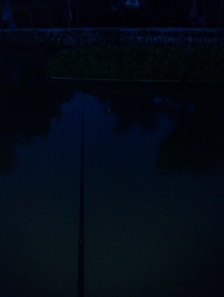 Chuyên về các loài cá nước ngọt ( Cá sống ngoài môi trường tự nhiên ) - 2