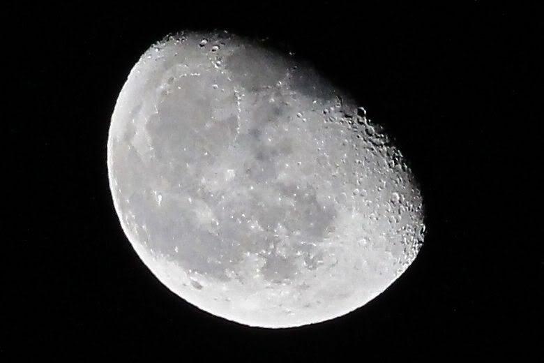IMG_4168.jpg