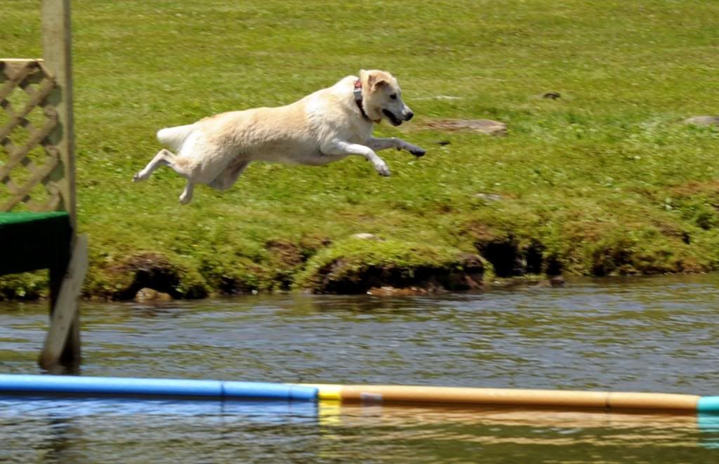 photo lunadock1.jpg