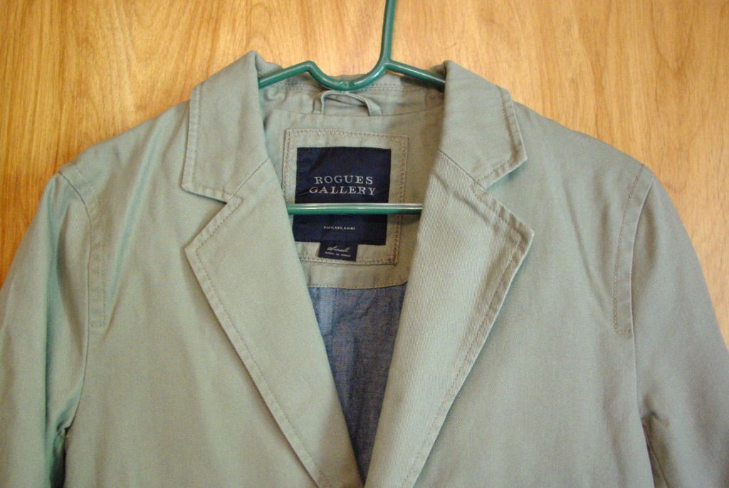 roguesblazer2.jpg