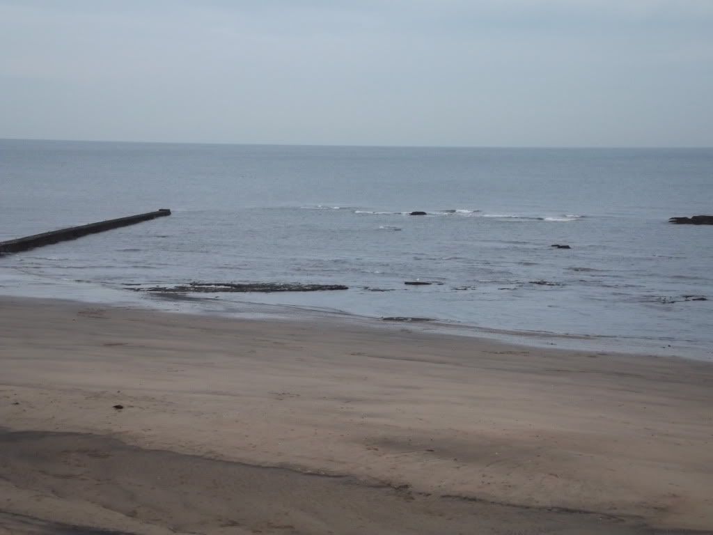 DSCF0028.jpg