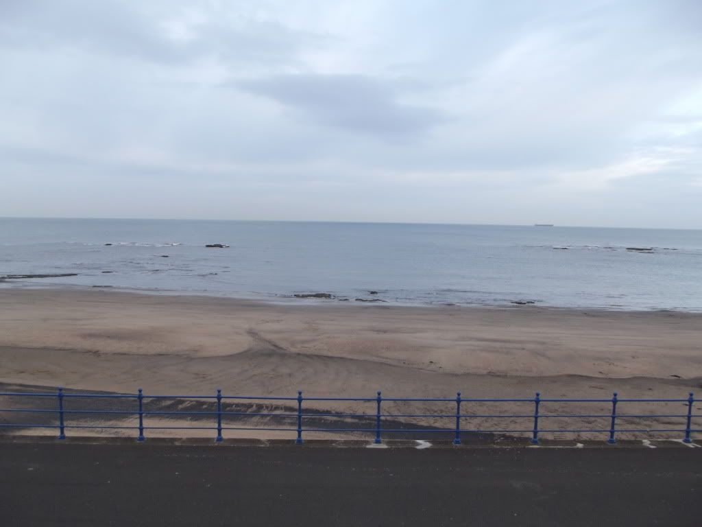 DSCF0029.jpg