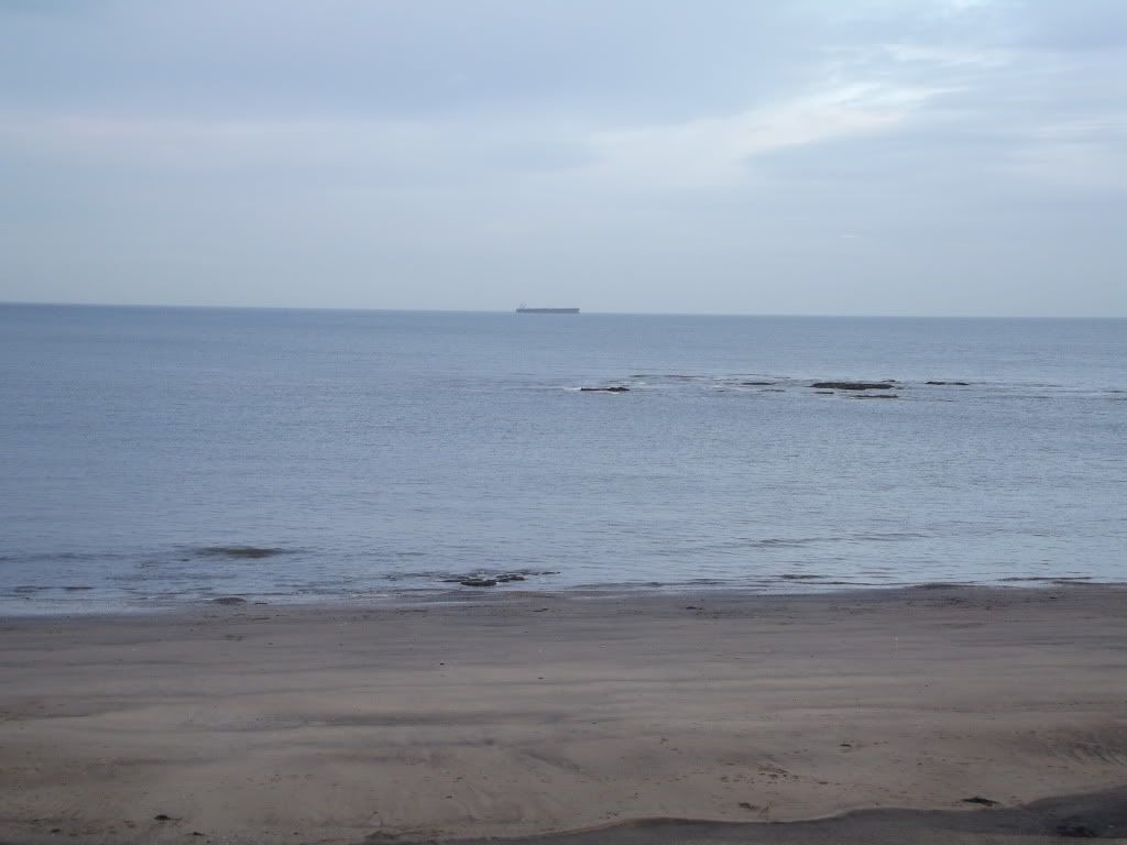 DSCF0030.jpg