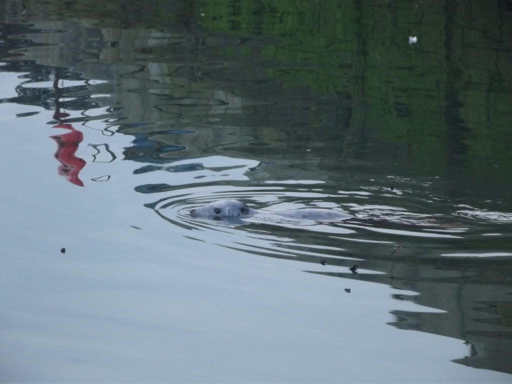 DSCF0200.jpg