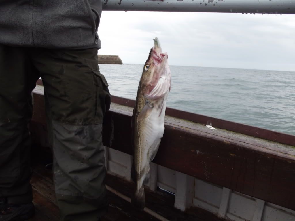 DSCF0236.jpg