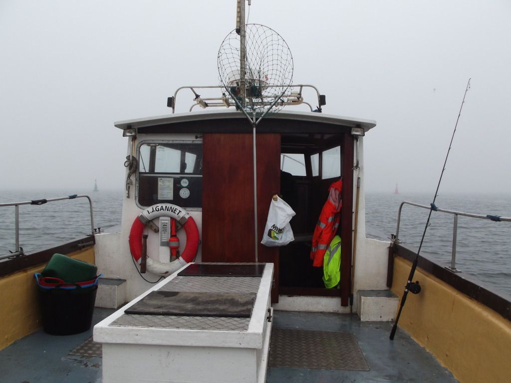 DSCF0305.jpg