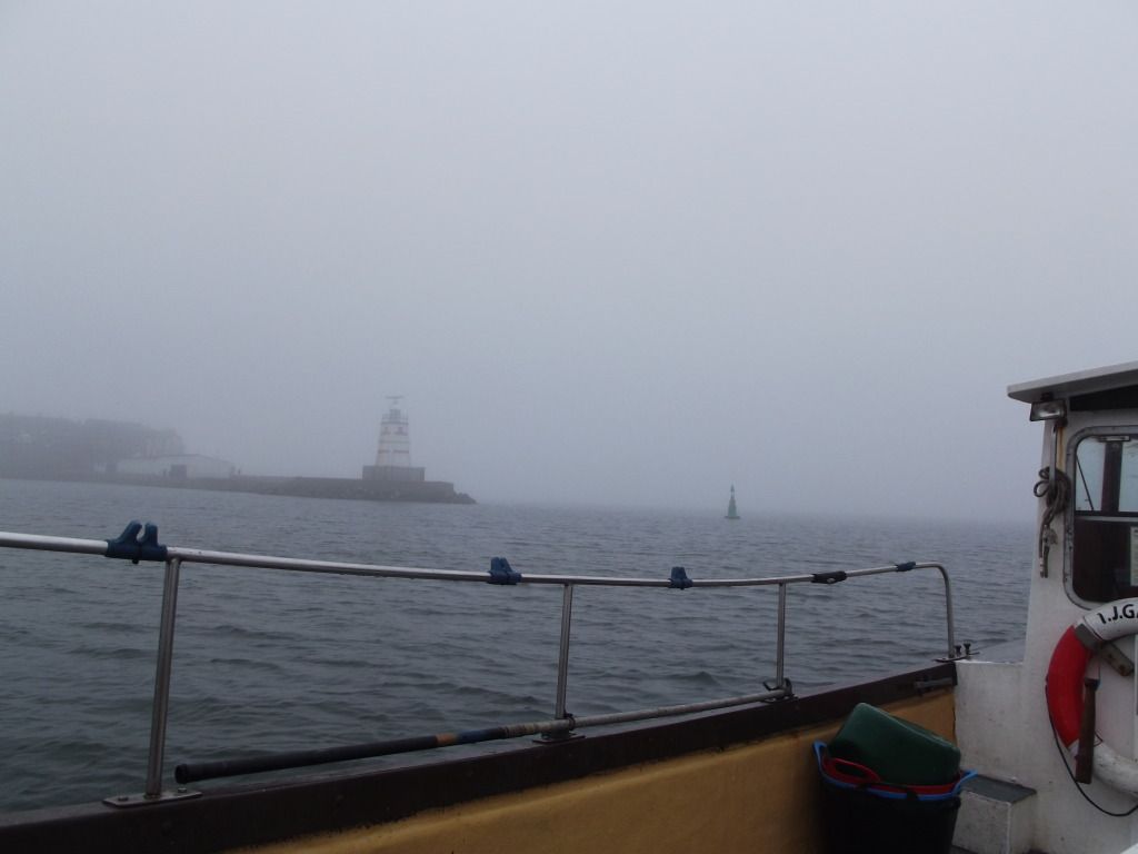 DSCF0306.jpg