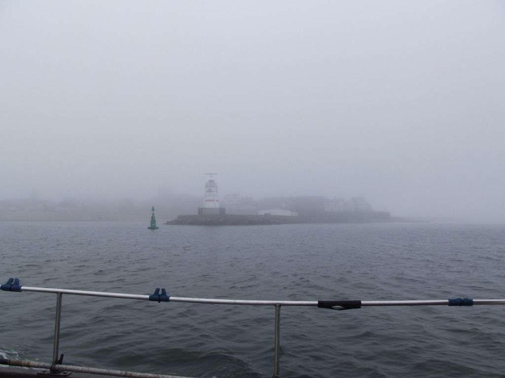 DSCF0308.jpg
