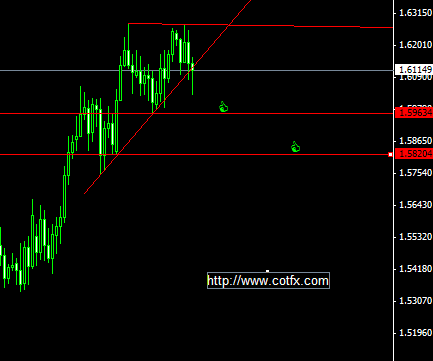 Carigold forex broker
