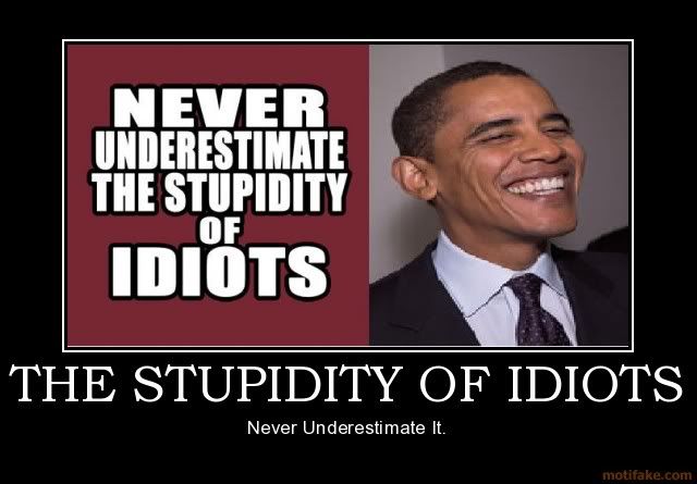 the-stupidity-of-idiots-demotivational-poster-1246827157.jpg