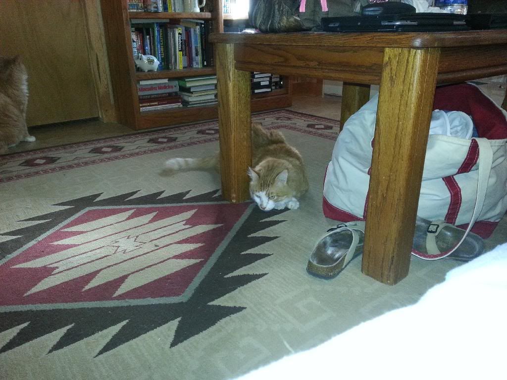  photo 20140222_084023_zpshz0mamjg.jpg