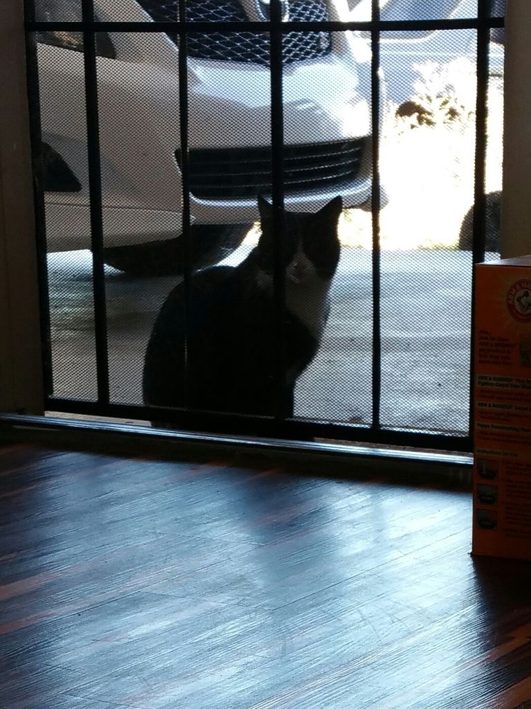  photo 20150315_094045-1_zpsxb4exdmg.jpg