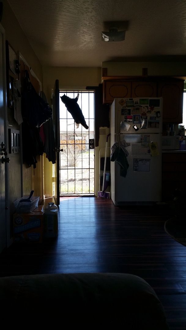  photo 20150315_102639_zpsyzjhbxfi.jpg