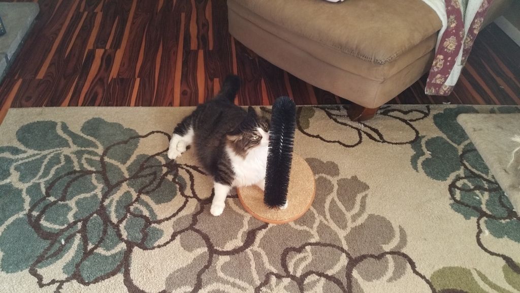  photo 20150316_163734_zpsmtgaibst.jpg