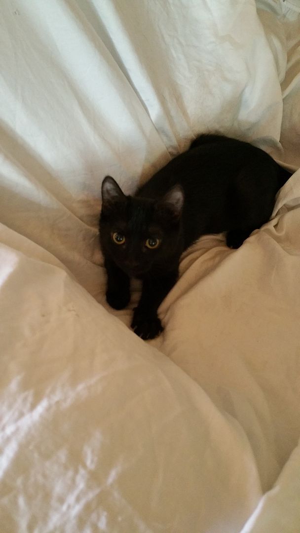  photo 20150322_103445_zpsfxkm5im3.jpg