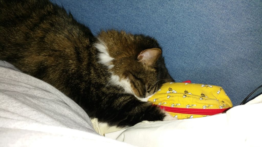  photo 20150323_215000_zpsf1ywv6ix.jpg