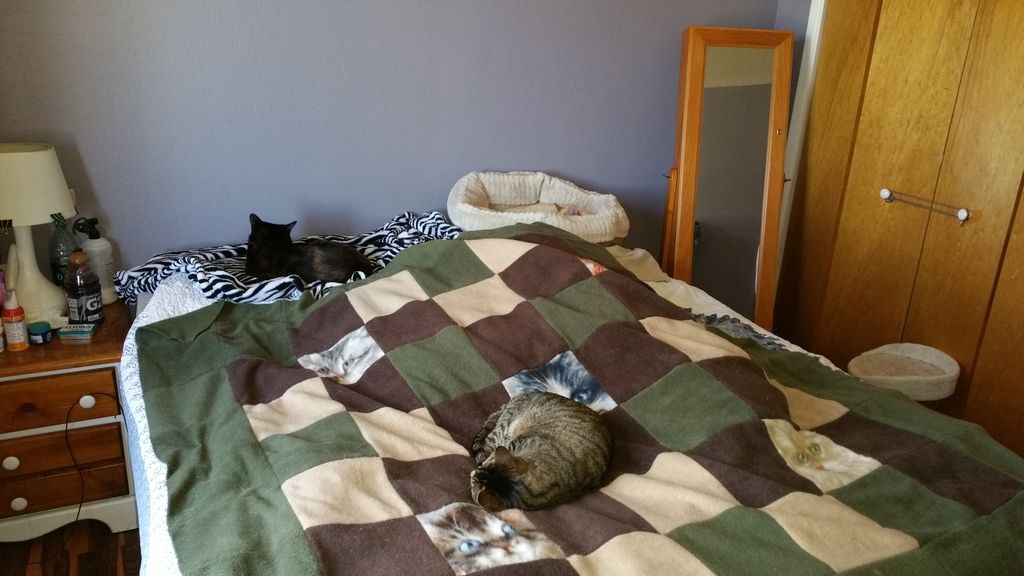  photo 20150405_102144_zps0w7acvkw.jpg