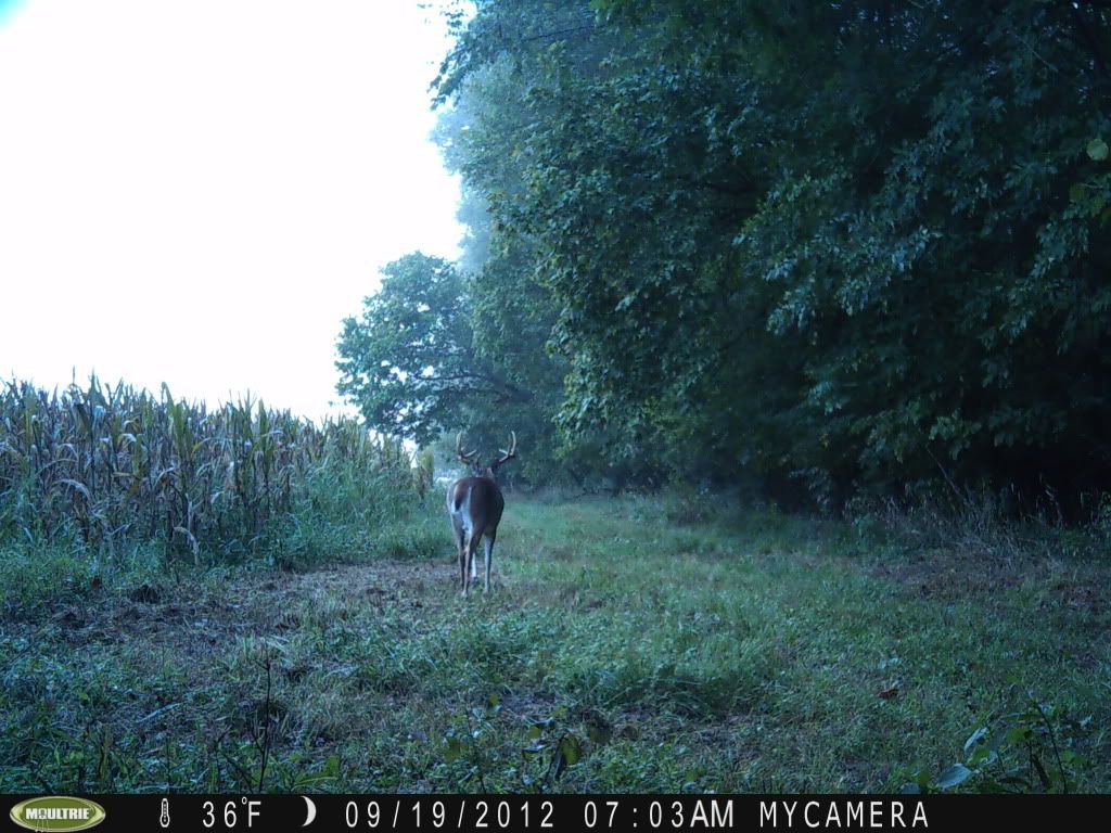 deercampics109_zps6ddc53ef.jpg