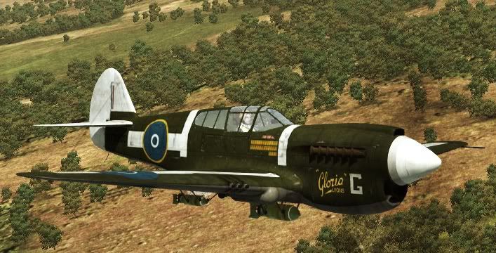 P40GloriaLyons.jpg
