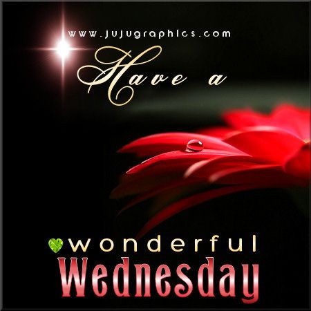 have a wonderful wednesday