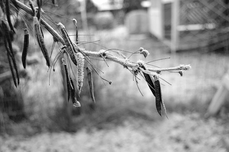 photo DSC_2235_zps9c7f8082.jpg