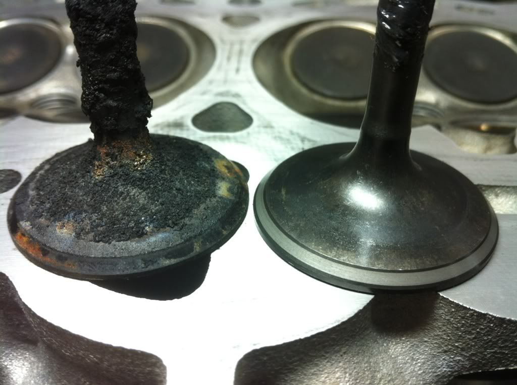 How bad do my valves look? Ford Focus ST Forum