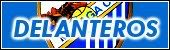DELANTEROS-1.jpg