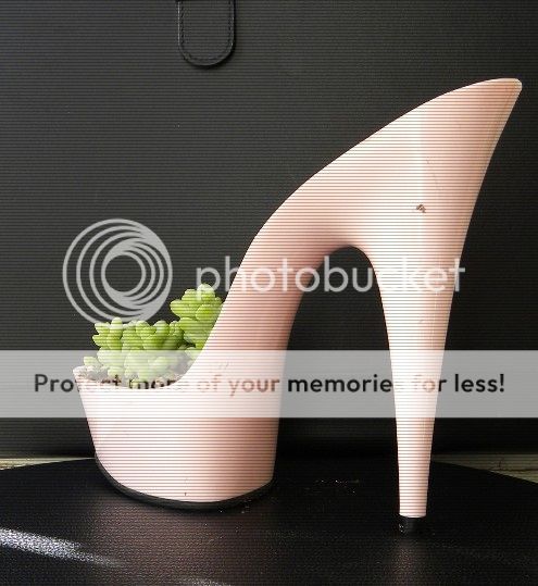  photo shoe-planter-pink1.jpg