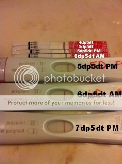 photo bead3f5c-cbc5-4171-a384-3591417fee81.jpg