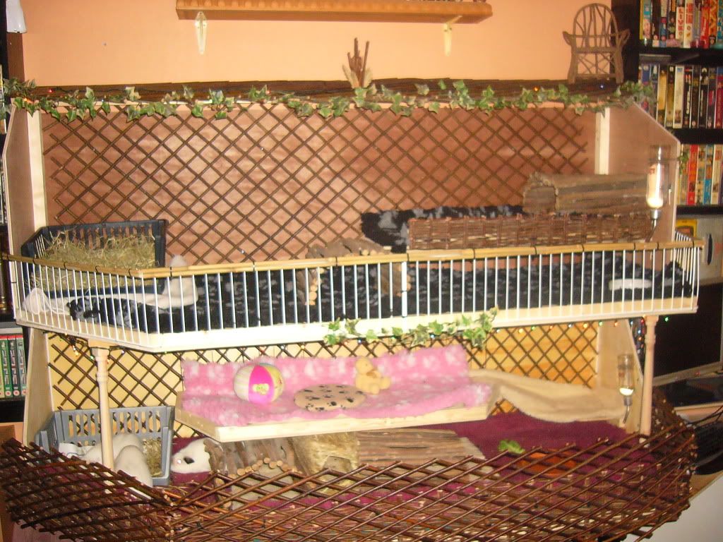 BuceNSheilasNewHome009.jpg