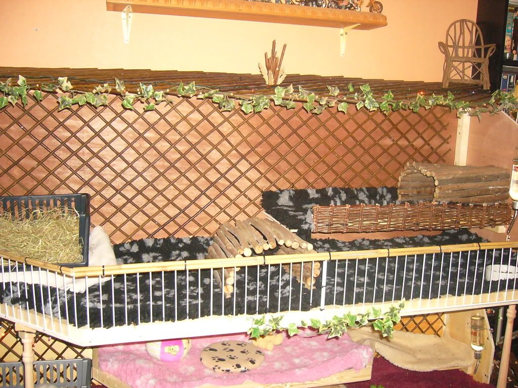 BuceNSheilasNewHome010-1.jpg