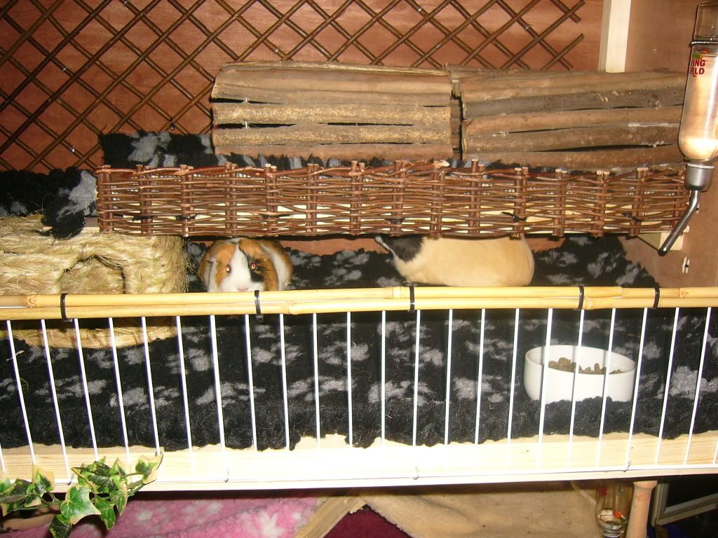 BuceNSheilasNewHome012.jpg