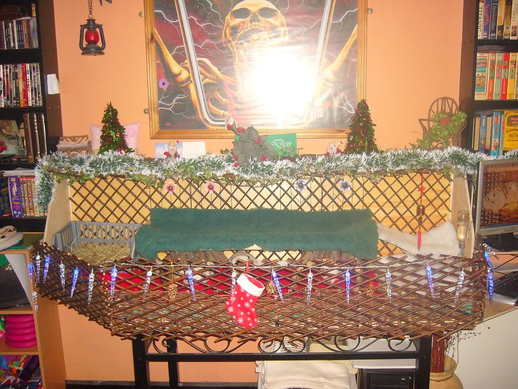 PiggyXmas2011001.jpg