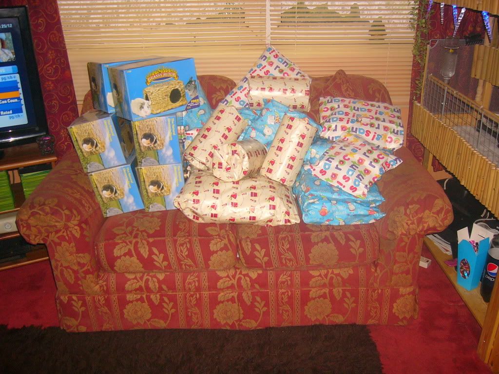 PiggyXmas2011009.jpg