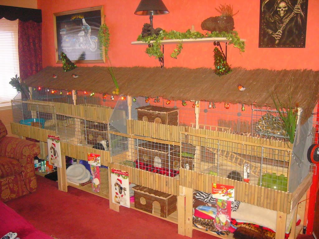 Piggysfirstchristmas.jpg