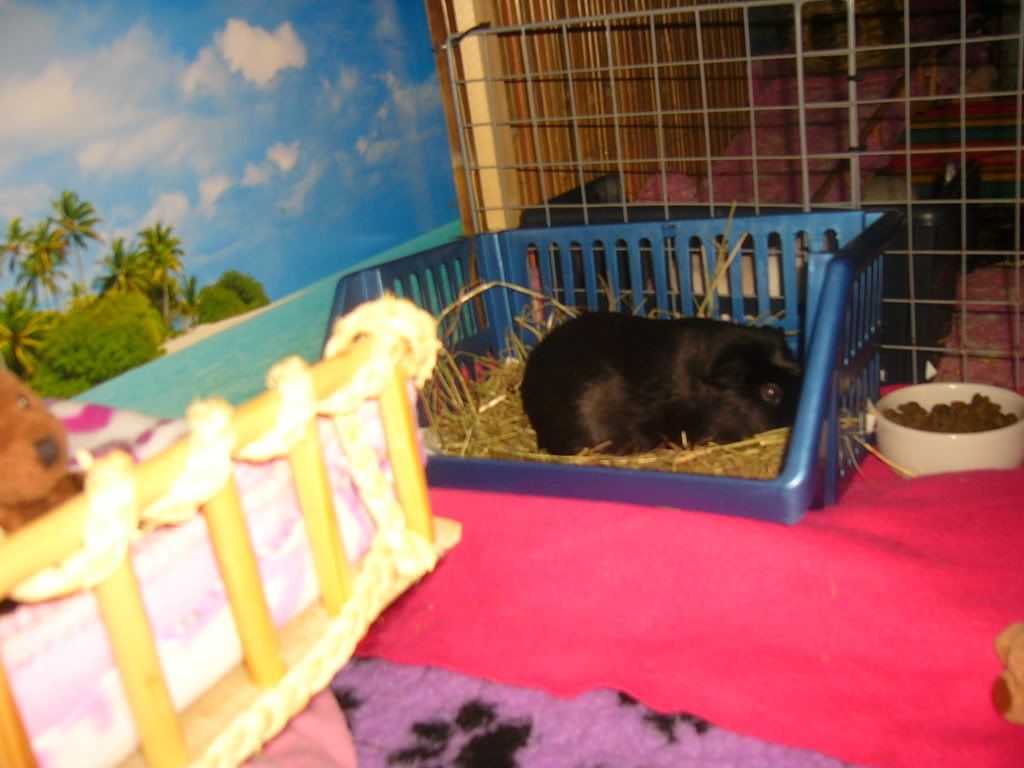SallysNewHome003.jpg