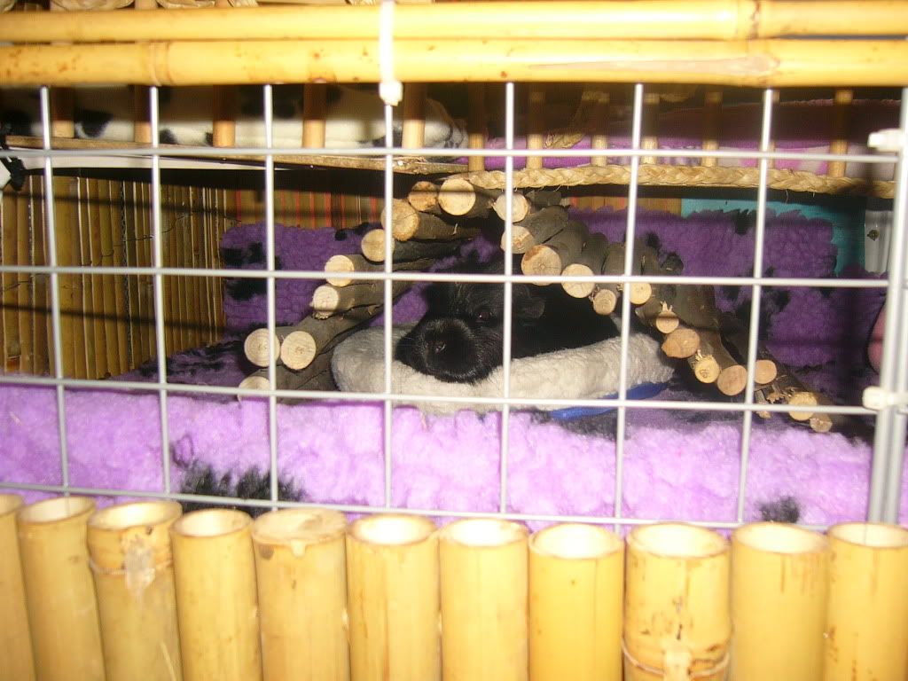 SallysNewHome005.jpg