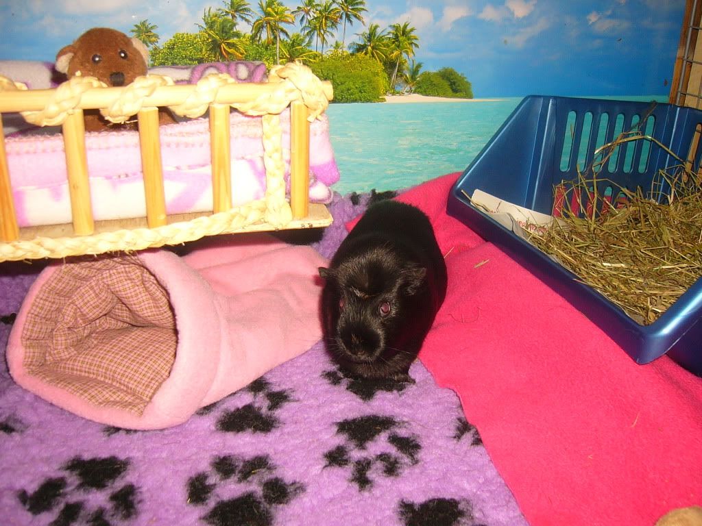 SallysNewHome006.jpg