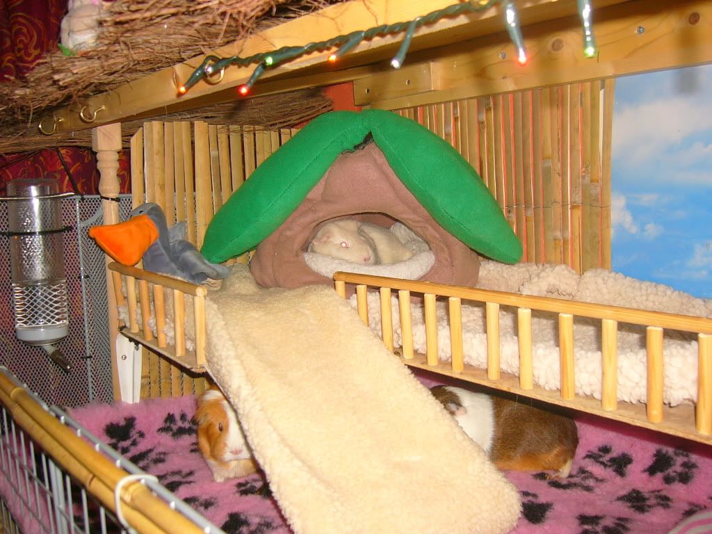 WinnieFrankieBennyPink010-1.jpg