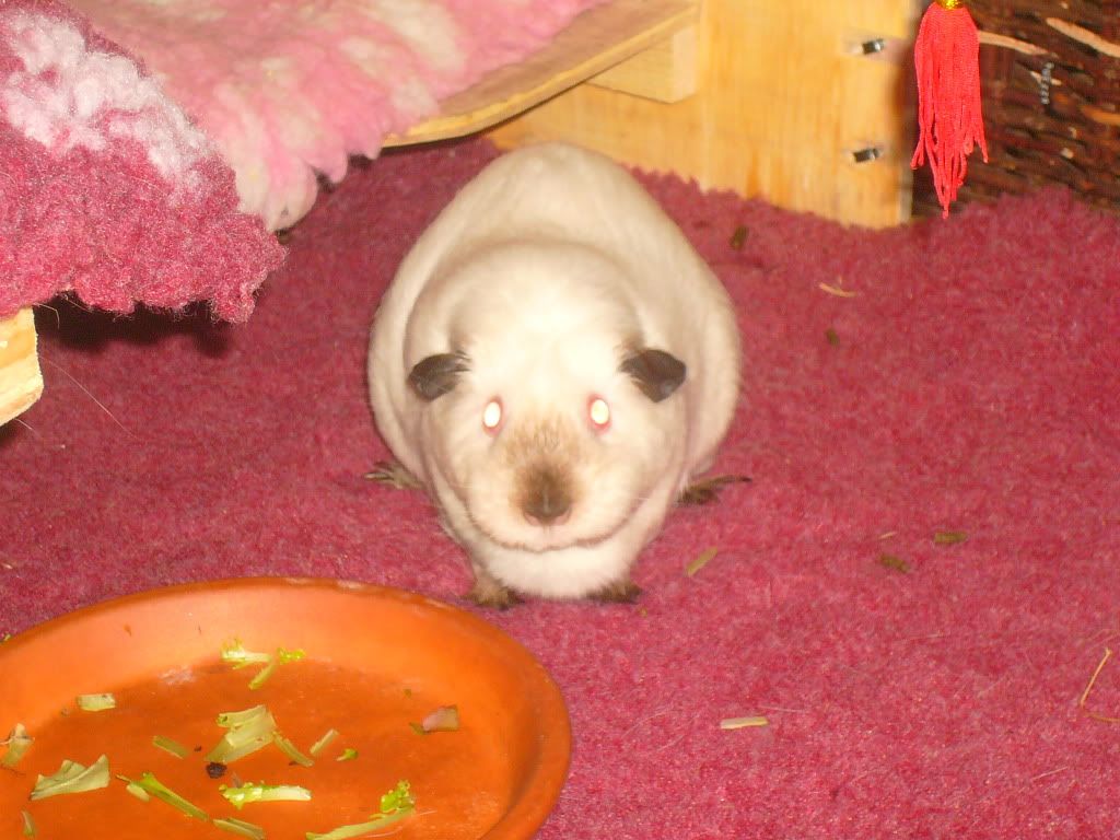 piggysmay2012008.jpg