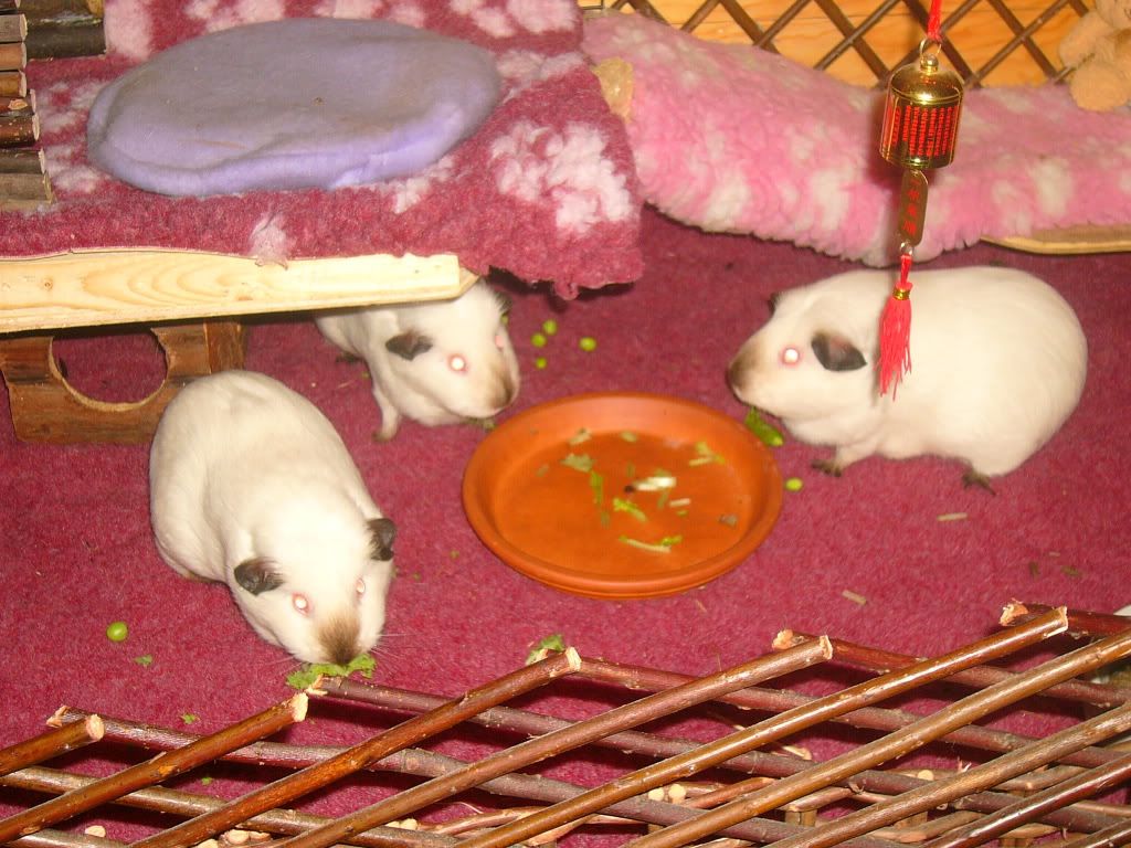 piggysmay2012009.jpg