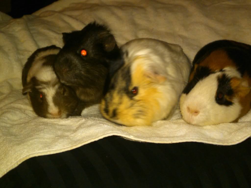 IMG00026-20100819-1425.jpg