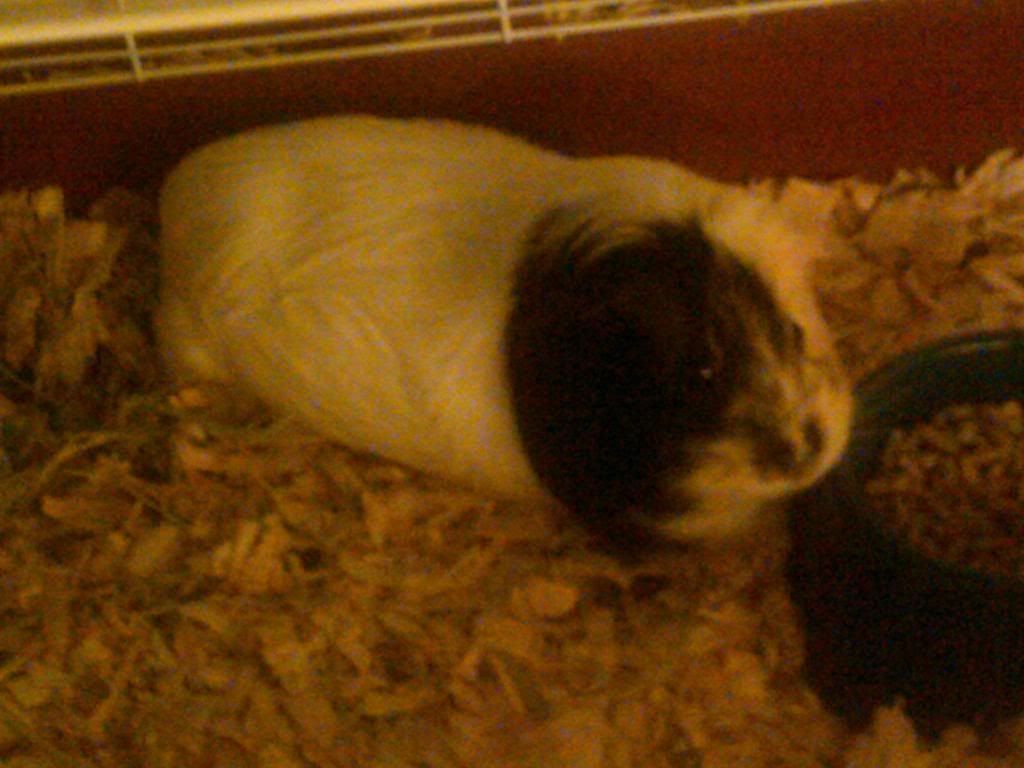 IMG00041-20100831-1834.jpg