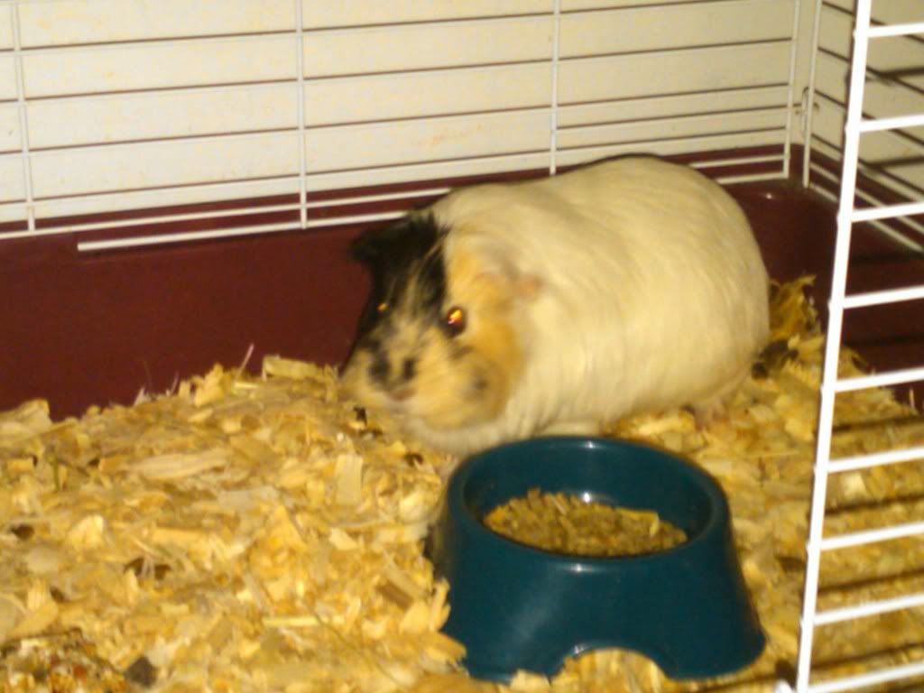 IMG00170-20100912-2219.jpg