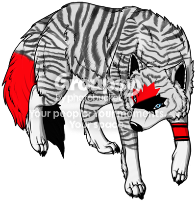 User Image